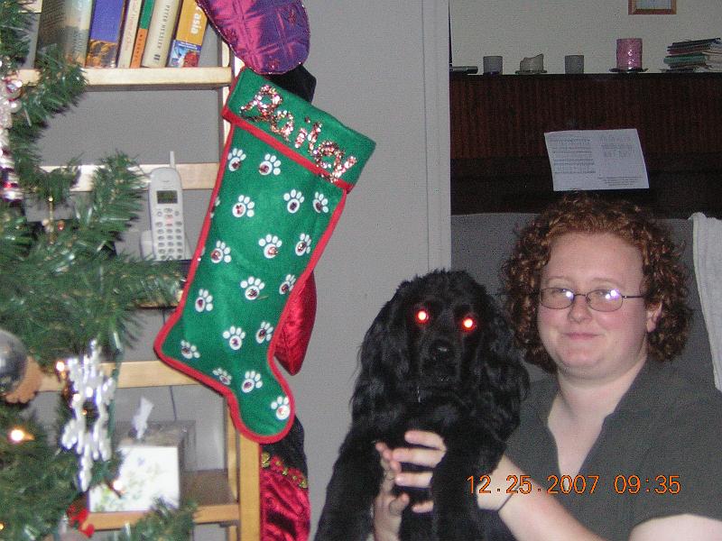 01 Bailey and his stocking.JPG
